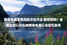 跨境电商索赔风险评估方法 新规预热？全国首部行刑衔接跨境电商行业指引发布