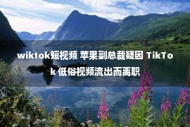 wiktok短视频 苹果副总裁疑因 TikTok 低俗视频流出而离职