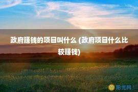 政府赚钱的项目叫什么 (政府项目什么比较赚钱)