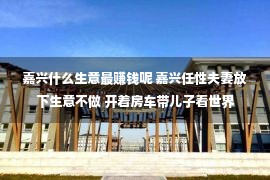 嘉兴什么生意最赚钱呢 嘉兴任性夫妻放下生意不做 开着房车带儿子看世界