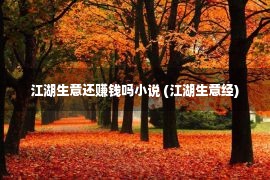 江湖生意还赚钱吗小说 (江湖生意经)