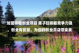 加盟槟榔创业项目 湘子旺槟榔竞争力强，创业有前景，为你的创业开店带来更多的商机