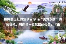 摆摊卖口红创业项目 承诺“美力永续”的玫琳凯，到底是一家怎样的公司？「向善的力量」