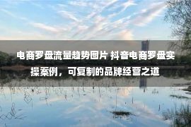 电商罗盘流量趋势图片 抖音电商罗盘实操案例，可复制的品牌经营之道