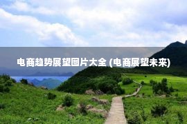 电商趋势展望图片大全 (电商展望未来)