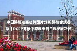 中日跨境电商趋势图片分析 跨境合规观察｜RCEP背景下跨境电商合规发展路径——以出海日本市场为例【走出去智库】