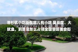 洛杉矶小吃街在哪儿有小吃 臭豆腐、大鱿鱼，到底是怎么占领全国景区美食街的