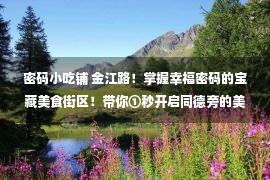 密码小吃铺 金江路！掌握幸福密码的宝藏美食街区！带你①秒开启同德旁的美食副本！