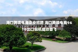 海口跨境电商企业招聘 海口跨境电商9610出口包机成功首飞