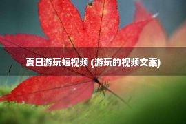 夏日游玩短视频 (游玩的视频文案)