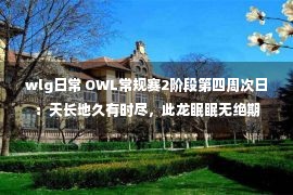 wlg日常 OWL常规赛2阶段第四周次日：天长地久有时尽，此龙眠眠无绝期