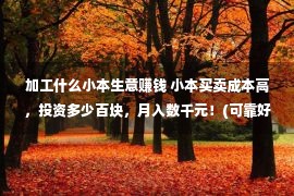 加工什么小本生意赚钱 小本买卖成本高，投资多少百块，月入数千元！(可靠好项目)