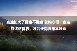 泰迪长大了健康不健康 养狗心得：泰迪应该这样养，才会长得健康又好看