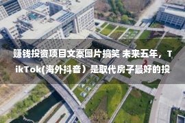 赚钱投资项目文案图片搞笑 未来五年，TikTok(海外抖音）是取代房子最好的投资！！