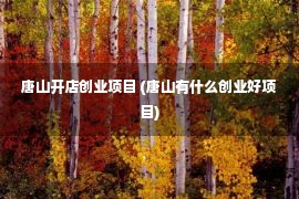 唐山开店创业项目 (唐山有什么创业好项目)