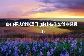 唐山开店创业项目 (唐山有什么创业好项目)