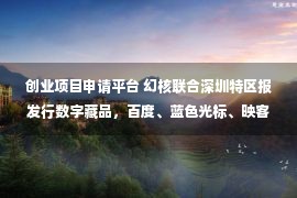 创业项目申请平台 幻核联合深圳特区报发行数字藏品，百度、蓝色光标、映客等企业在元宇宙中频出新动作