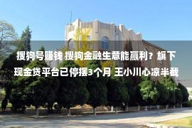 搜狗号赚钱 搜狗金融生意能赢利？旗下现金贷平台已停摆3个月 王小川心凉半截