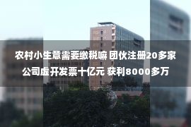 农村小生意需要缴税嘛 团伙注册20多家公司虚开发票十亿元 获利8000多万