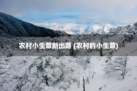 农村小生意新出路 (农村的小生意)