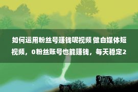 如何运用粉丝号赚钱呢视频 做自媒体短视频，0粉丝账号也能赚钱，每天稳定200多收益