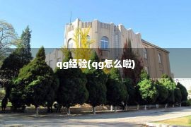 qg经验(qg怎么啦)