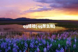 qg经验(qg怎么啦)