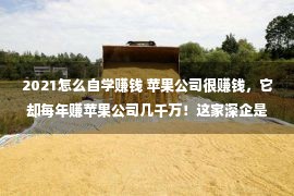 2021怎么自学赚钱 苹果公司很赚钱，它却每年赚苹果公司几千万！这家深企是怎么做到的