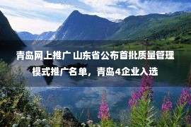 青岛网上推广 山东省公布首批质量管理模式推广名单，青岛4企业入选