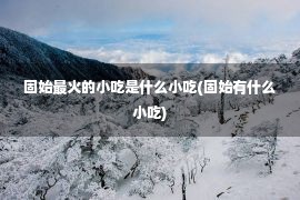 固始最火的小吃是什么小吃(固始有什么小吃)