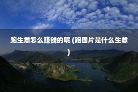 跑生意怎么赚钱的呢 (跑图片是什么生意)