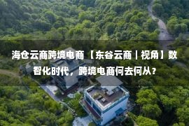 海仓云商跨境电商 【东谷云商｜视角】数智化时代，跨境电商何去何从？