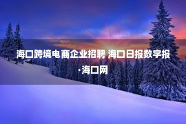 海口跨境电商企业招聘 海口日报数字报·海口网