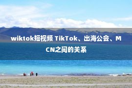 wiktok短视频 TikTok、出海公会、MCN之间的关系