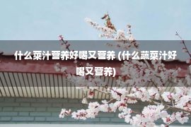 什么菜汁营养好喝又营养 (什么蔬菜汁好喝又营养)