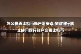 怎么样弄比特币账户啊安卓 多家银行禁止使用银行账户交易比特币