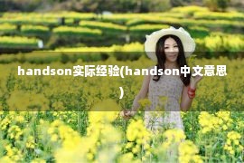 handson实际经验(handson中文意思)