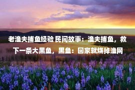 老渔夫捕鱼经验 民间故事：渔夫捕鱼，救下一条大黑鱼，黑鱼：回家就烧掉渔网