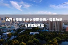 自己自学素描 怎么学画素描？零基础学习的素描教程