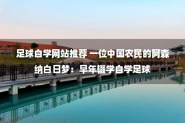 足球自学网站推荐 一位中国农民的阿森纳白日梦：早年辍学自学足球