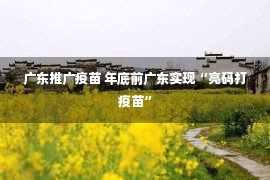 广东推广疫苗 年底前广东实现“亮码打疫苗”