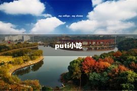 puti小吃