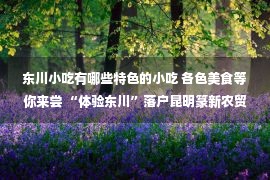 东川小吃有哪些特色的小吃 各色美食等你来尝 “体验东川”落户昆明篆新农贸市场