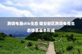 跨境电商dtb生态 雄安新区跨境电商生态体系基本形成