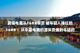 跨境电商从1688拿货 被年轻人捧红的1688 ：从中国电商的源头货盘到年轻的新供给