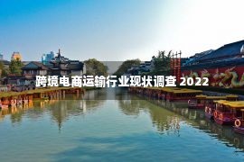 跨境电商运输行业现状调查 2022