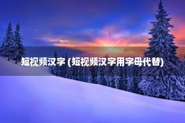 短视频汉字 (短视频汉字用字母代替)