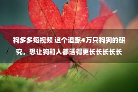 狗多多短视频 这个追踪4万只狗狗的研究，想让狗和人都活得更长长长长长