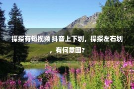 探探有短视频 抖音上下划，探探左右划，有何意图?