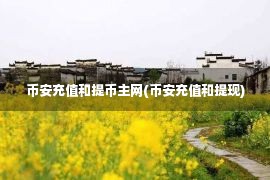 币安充值和提币主网(币安充值和提现)